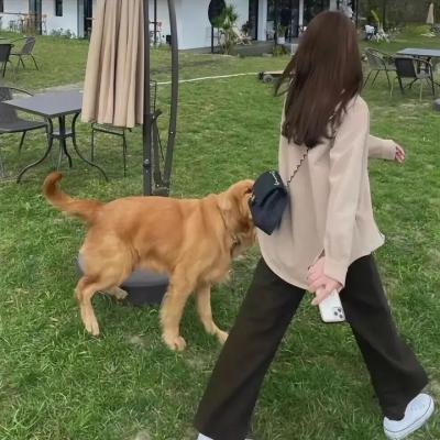阴影之下